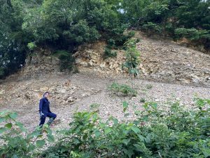 若山川における露頭