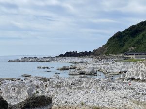 隆起した海岸線の様子