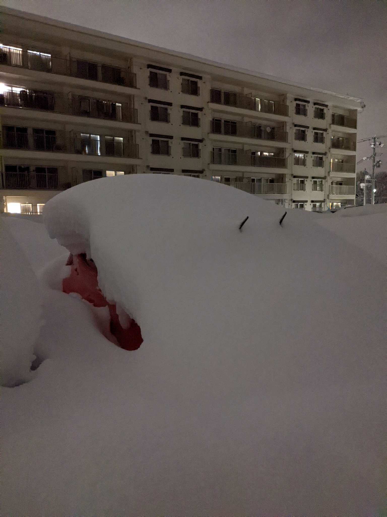 大雪が過ぎると思ったら、災害級でした - 弘前大学 藤﨑研究室