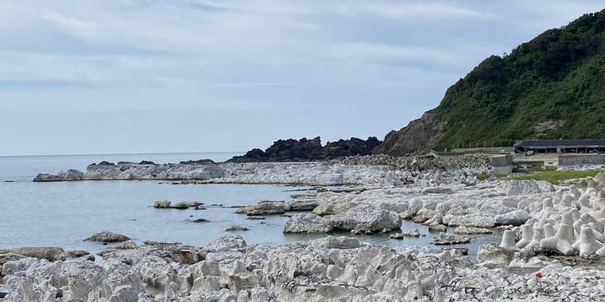 隆起した海岸線の様子